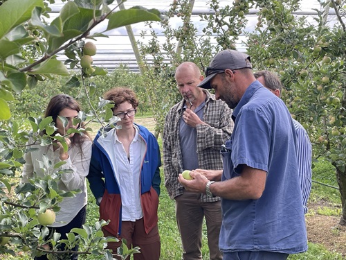 CSIRO researchers discuss trade-related biosecurity challenges with Daniel Nicoletti, Nicoletti Orchards, APAL board member, Queensland.