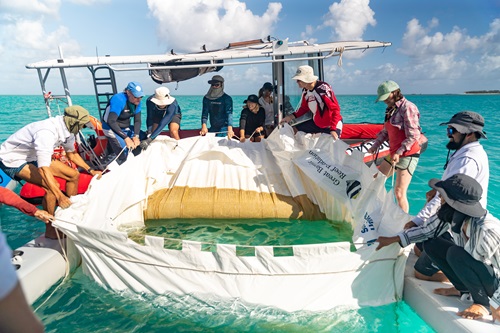 As part of the Reef Restoration and Adaptation Program (RRAP) Moving Corals subprogram, CSIRO, Southern Cross University, and Queensland University of Technology test a range of approaches for collecting wild coral spawn slicks, culturing these en masse, and delivering them to reefs at larger scales. Pictured are the team releasing larvae from floating pools. 