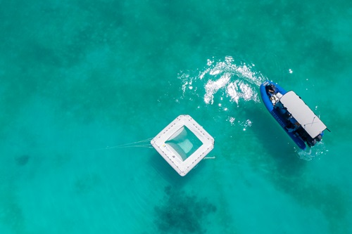 Researchers hit the water during the summer’s coral spawning events to scale up the use of coral larvae for reef restoration. 