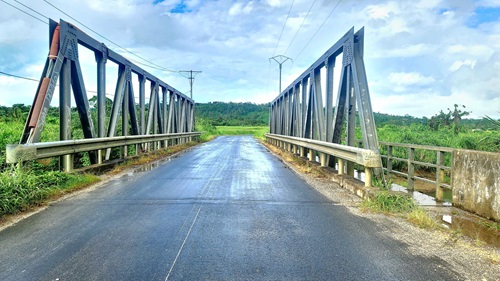 A bridge in Vanuatu