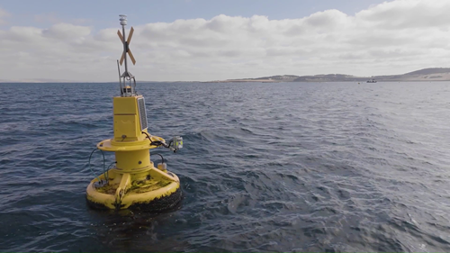 HydraSpectra water sensor mounted on a buoy in the Spencer Gulf with fish farms in the background.