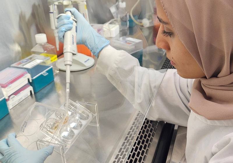 Dr Ghanyah Al-Qadami, culturing the ‘mini-gut’ in the laboratory.