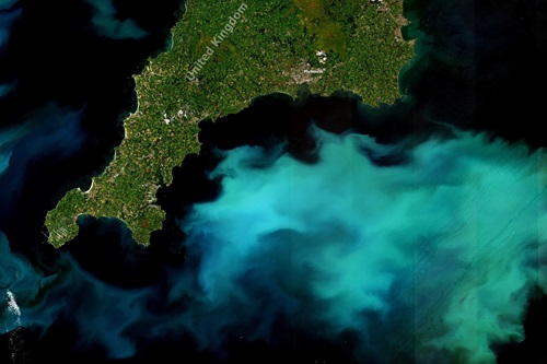 Satellite image of a phytoplankton bloom in the English Channel near Plymouth. 
