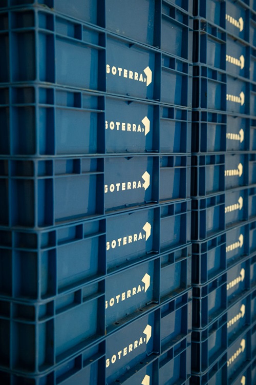 Trays used to house and feed the larvae inside the Modular Infrastructure for Biological Services.