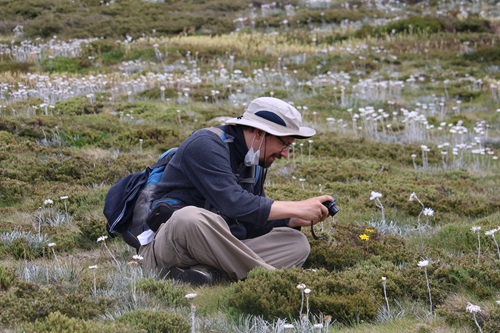 CSIRO's Dr Alexander Schmidt-Lebuhn doing fieldwork. 