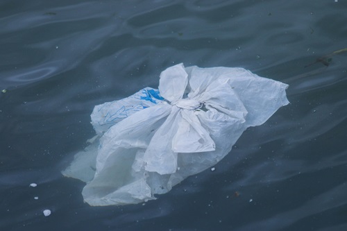 A single use plastic bag seen floating through the water.