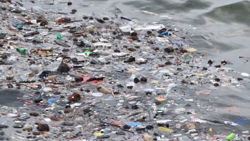Plastic waste floating atop the ocean. 