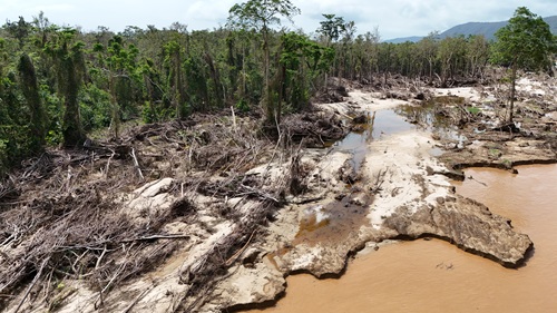 Cyclone Jasper damage viewed by boat at Forest Creek, on the Daintree Coast in January 2024.. 