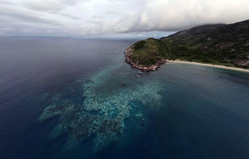 The extent of the bleaching at Lizard Island in March 2024.