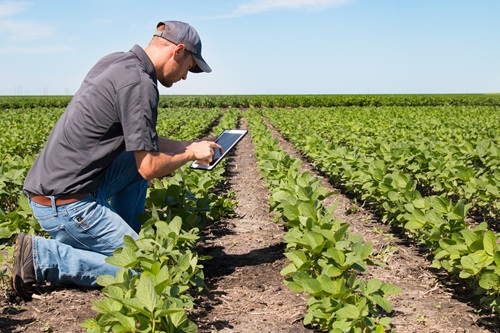 Biosecurity helps protect our agriculture from pests weeds and diseases.