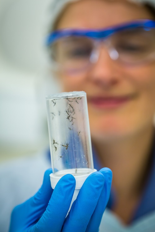 Research at the Australian Centre for Disease Preparedness.