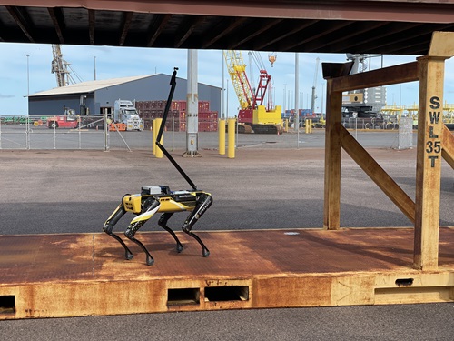 Spot the robotic biosecurity dog performing an external container inspection.