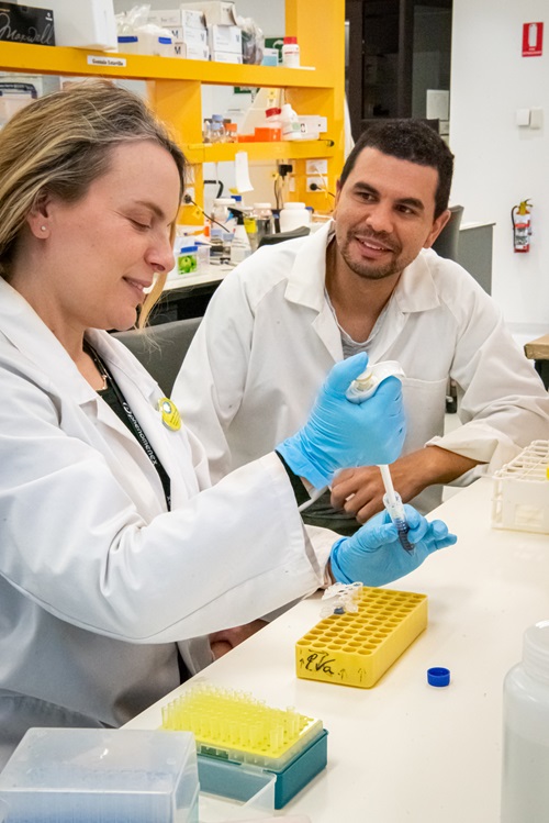 Dr Taj Arndell working with technician Natalie Niesner at a CSIRO Black Mountain laboratory.