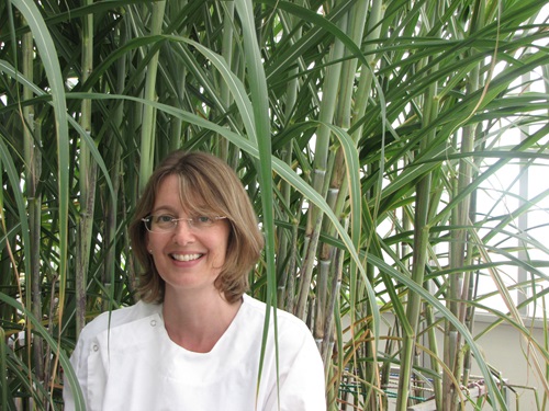 CSIRO Research Scientist Dr Karen Aitken. 