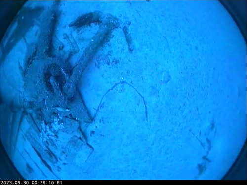 An underwater image of an anchor on the seafloor.