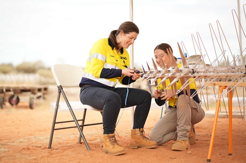 Members of the SKA-Low team build a prototype SKA-Low antenna 