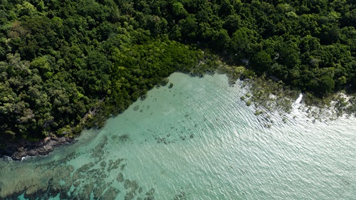 As the blue economy continues to grow and new and emerging industries enter the ocean estate, it is crucial to put a spotlight on the pathways for working with First Nations.