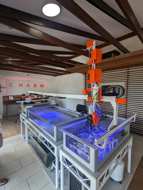 The CHARM coral farming robot, equipped with its new soft robotic hand, in action at the CHARM facility on Magnetic Island. 