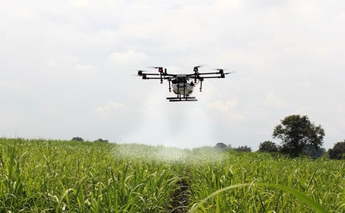 Drone spraying over sugar cane fields