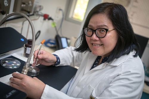 Dr Yen Truong in the lab. 