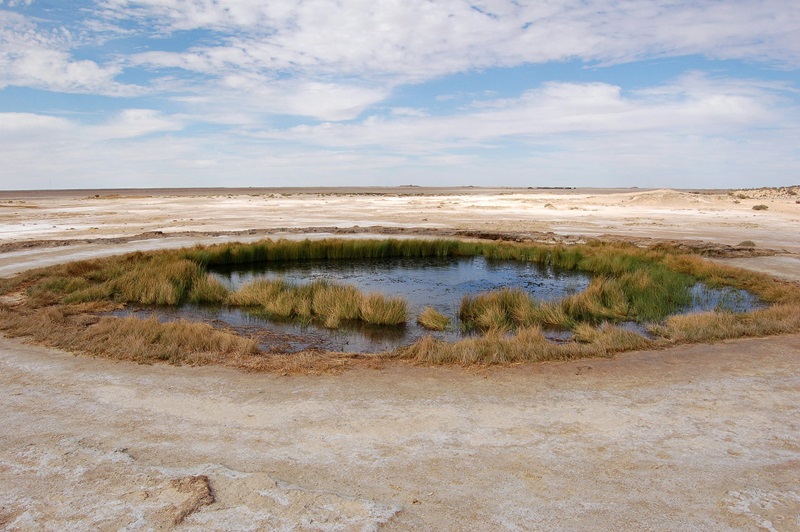 The Blanche Cup Mound Spring wells up from the Great Artesian Basin in South Australia.