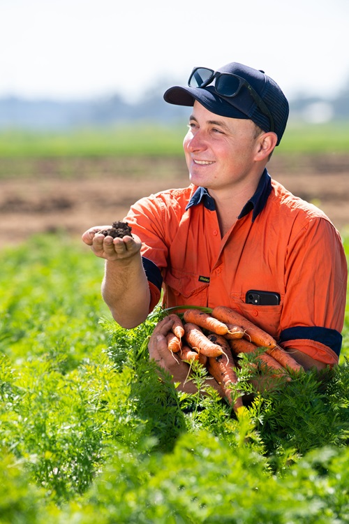 A person in a high viz top, cap and sunglasses on the gap, crouching n a field of carrots with carrots in hand