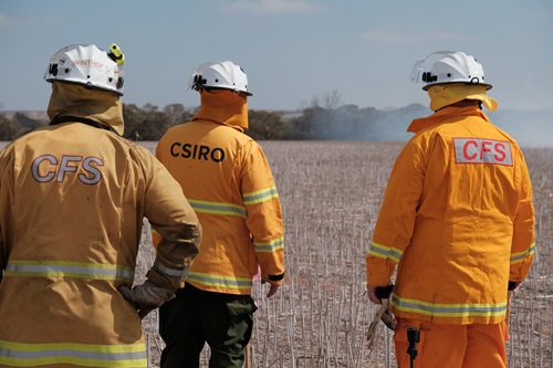 Three people in protective gear and hard hats in a field of stubble facing away with smoke in the distance.