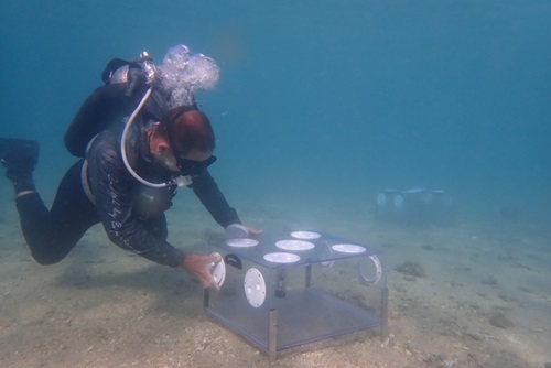 Diver in scuba gear placing a perspex box on the sea floor.