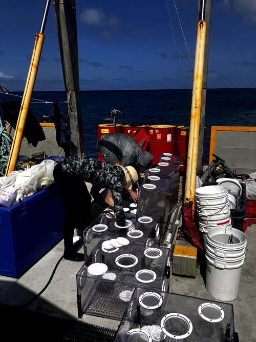 Seed boxes on deck of a boat with dark sky in the background
