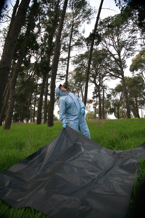 A person in a blue protective suit, gloves, and cap is spreading a large black plastic sheet on grassy ground in a forested area, with tall green trees in the background