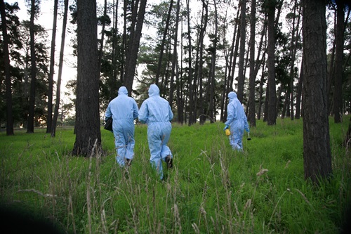 Researchers in the field, wearing blue suits