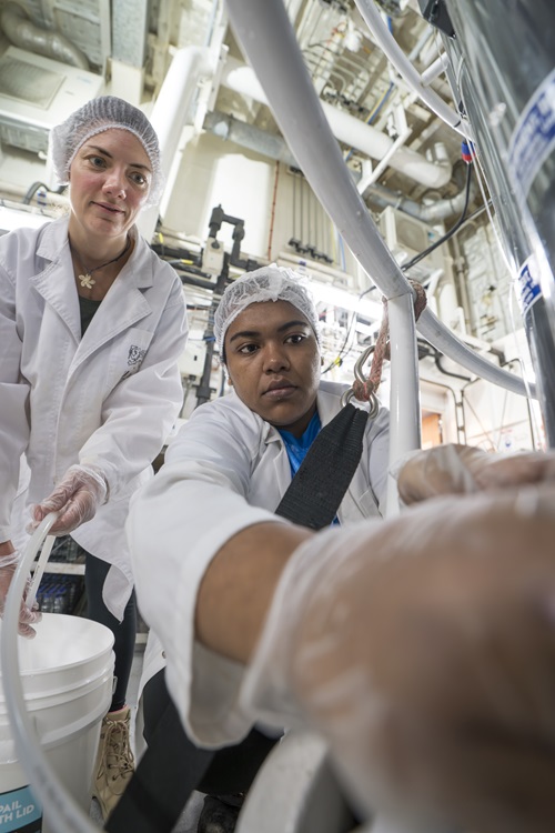 Two people in white lab coats and hair nets collect water from a piece of scientific equipment.