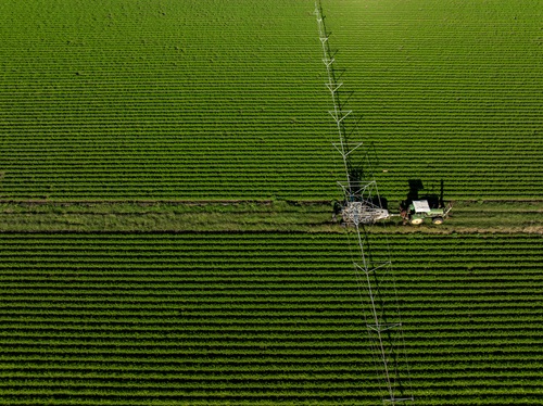Aerial view of a cropped paddock with an irrigator
