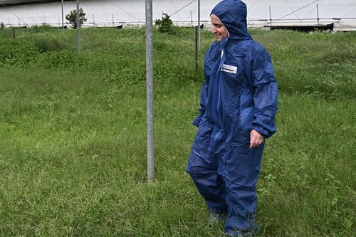 Person in blue hazmat suit walking in a grass field. 