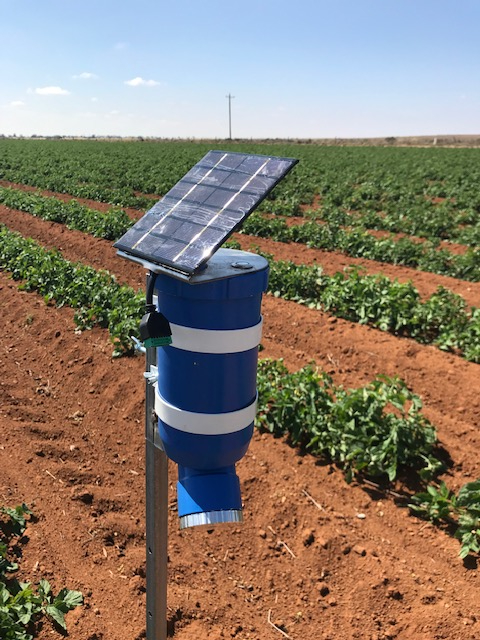 A blue solar-powered agricultural sensor mounted on a pole in a crop field with rows of green plants.