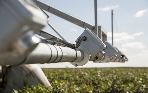 Close up of drone over crops