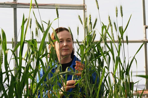 Women in laboratory with green crop in front of her and a light background behind.