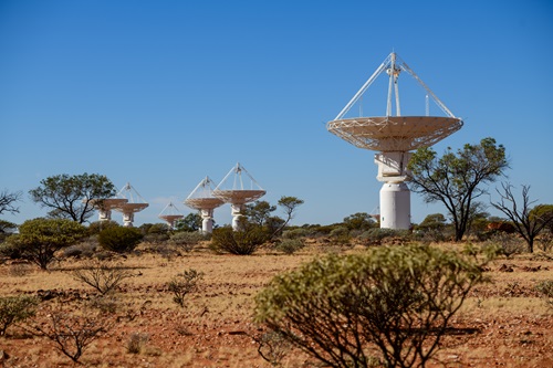 A wide landscape view of several large white radio telescope dishes arranged in a line across a flat, arid terrain with reddish soil and scattered low shrubs and small trees. The dish antennas, mounted on cylindrical bases, are angled upward toward the clear blue sky. The foreground shows dry vegetation and rocky ground, while the background stretches into open bushland under bright daylight.