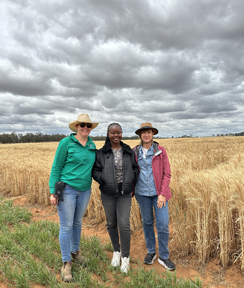 Dr Dreccer and her team photographed with a field of wheat behind