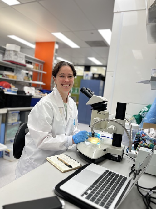 Dr Claire Rowe, Collection Manager Marine Invertebrates at the Australian Museum.