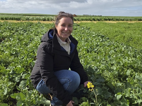 Dr Penny Roberts crouches in an intercropped trial plot. She is smiling at the camera and holding a yellow flowering stem. Behind her, rows of other trial plots stretch to the horizon.