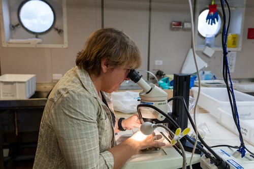 A person in a laboratory on a ship looking down a microscope.
