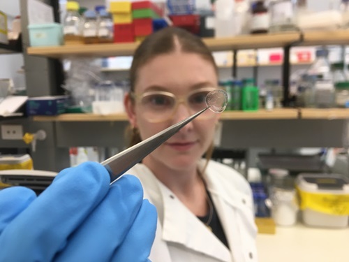 Dr Johnston holding the clear bioengineered honeybee silk film close to the camera.
