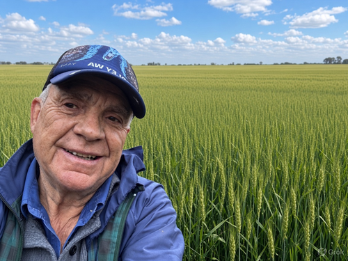 Pete Roberts with a blue cap taking a selfie with a backdrop showing a large greenish wheat field and a blue sky dotted with clouds.
