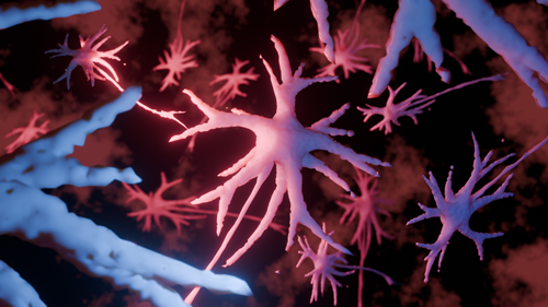 A neuron. 