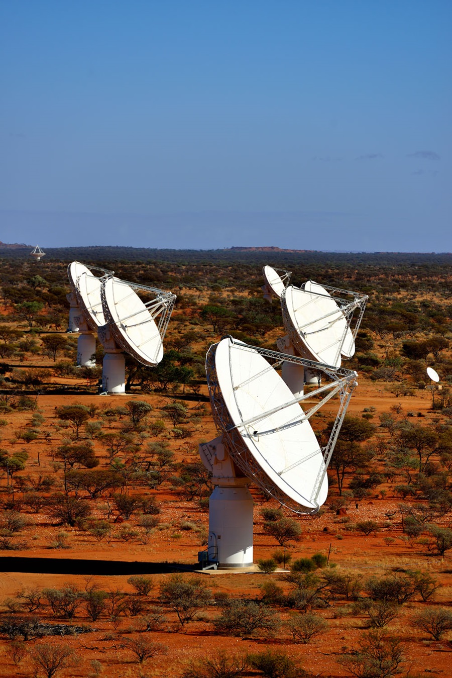 Image shows our ASKAP radio telescope, several dish-like antennas pointing at the sky
