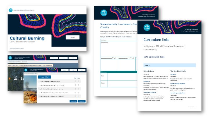 A collection of screenshots and documents with text, images and Indigenous designs on them