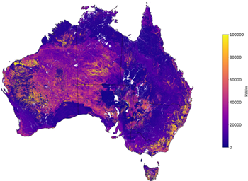 A map of Australia that shows fireline intensity potential in a colour ramp from purple to yellow. The more yellow an area appears, the more intensely a fire could burn, taking into account fuel, terrain and weather.