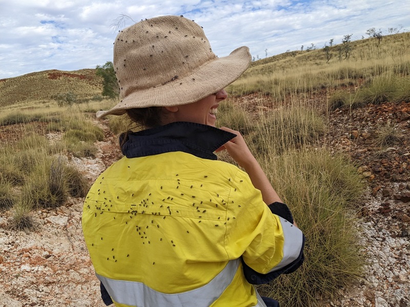 Back of woman wearing hi-vis covered in flies