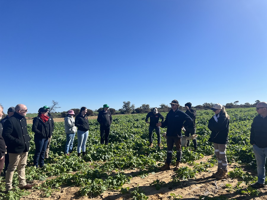 RiskWi$e 2024 field trip